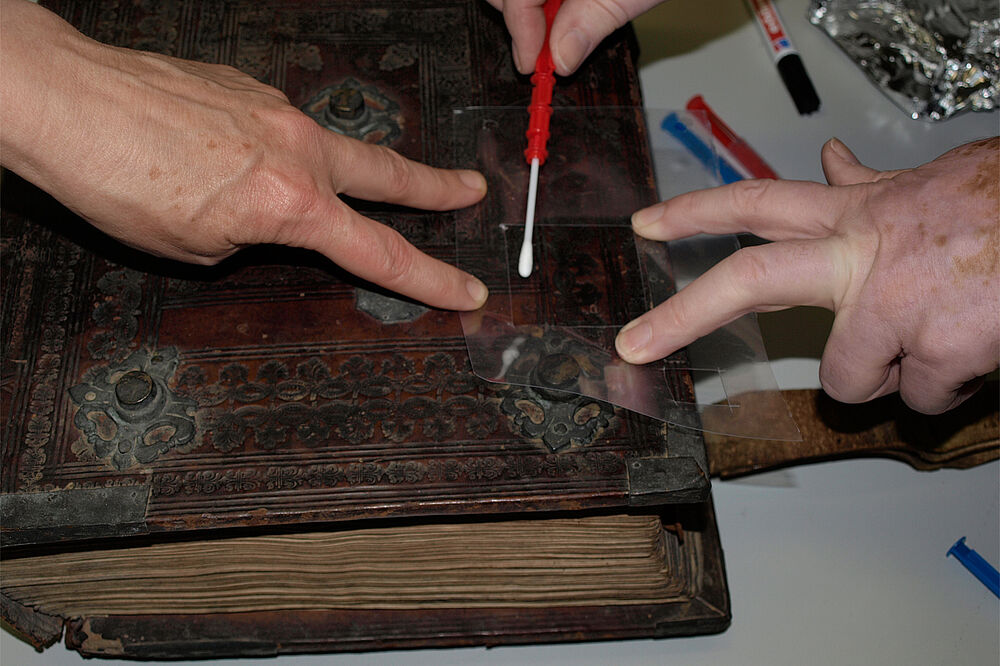 Prélèvement pour une analyse microbiologique d’un manuscrit issu du trésor de la cathédrale de Halberstadt 